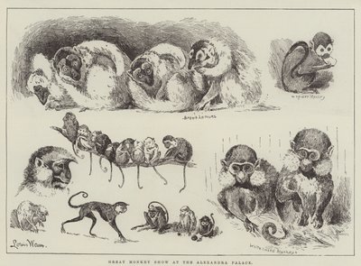 Gran Espectáculo de Monos en el Alexandra Palace de Louis Wain